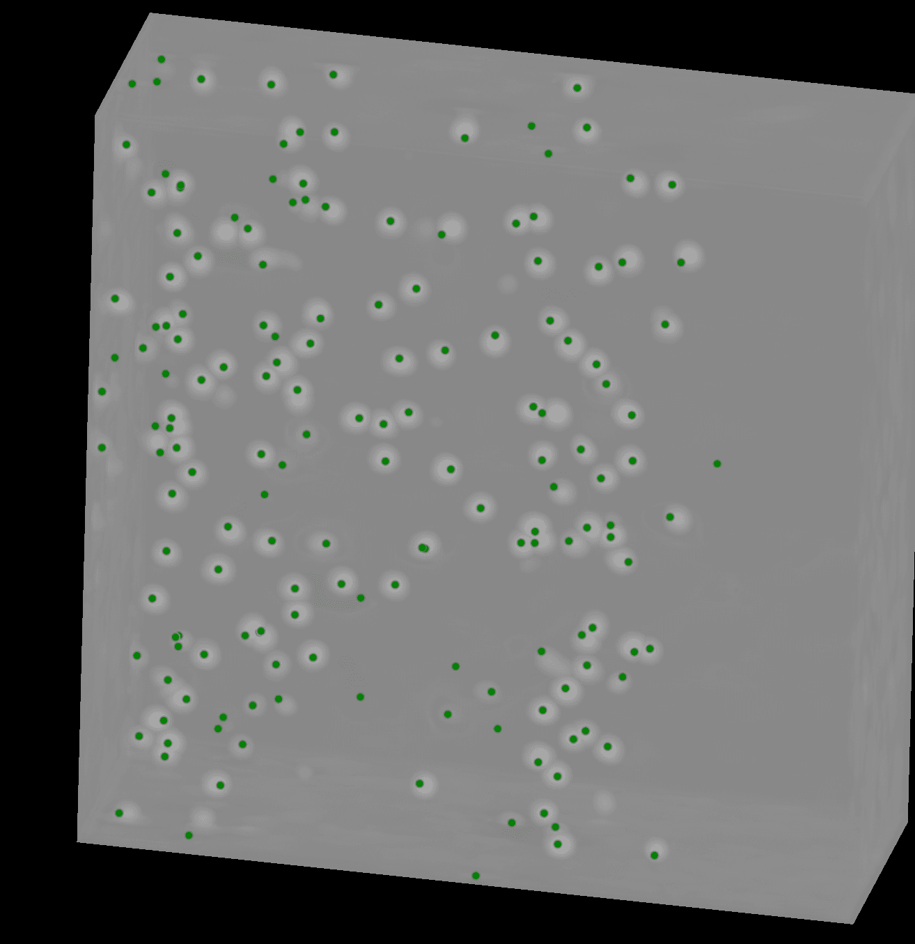 3D volume with cell centers detected, in green, by the weighted Mean Shift.